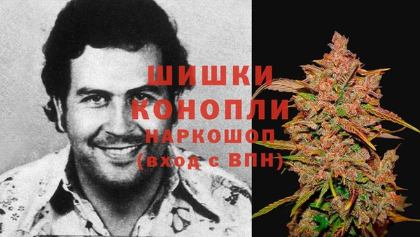 ПСИЛОЦИБИНОВЫЕ ГРИБЫ Абаза
