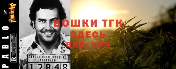 шишки Алексин