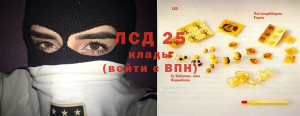 ПСИЛОЦИБИНОВЫЕ ГРИБЫ Абаза