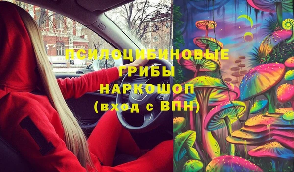 ПСИЛОЦИБИНОВЫЕ ГРИБЫ Абаза