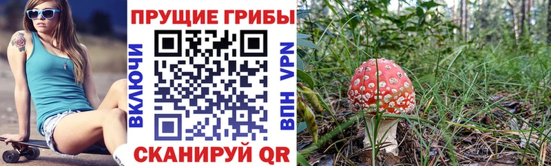 где продают наркотики  blacksprut ссылки  Псилоцибиновые грибы прущие грибы  Ирбит 